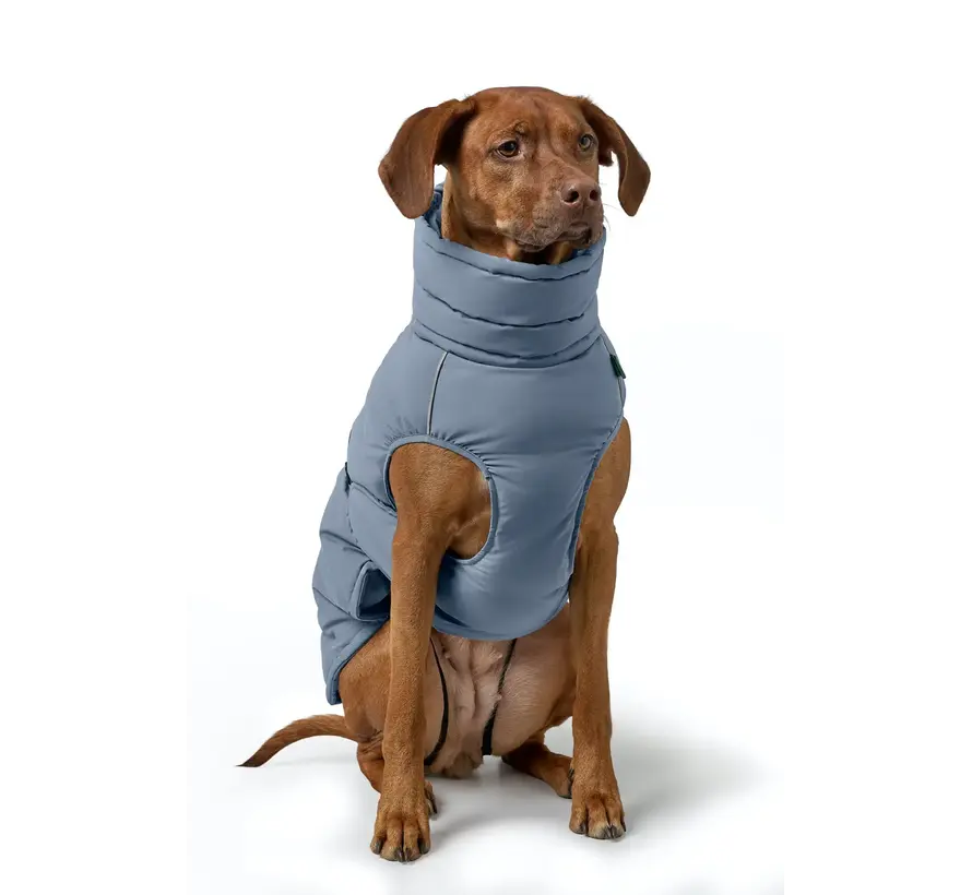 Hondenjas Paxson Blauw