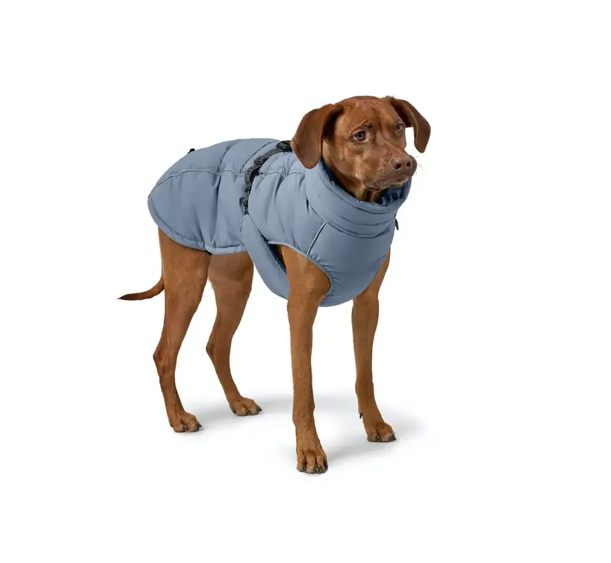 Dog Coat Paxson Blue