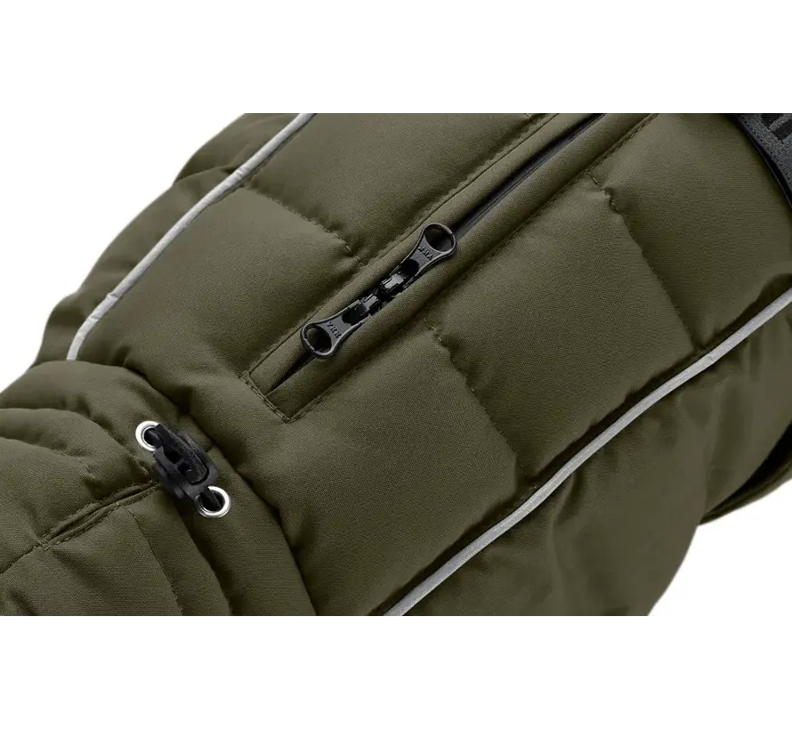 Dog Coat Paxson Olive