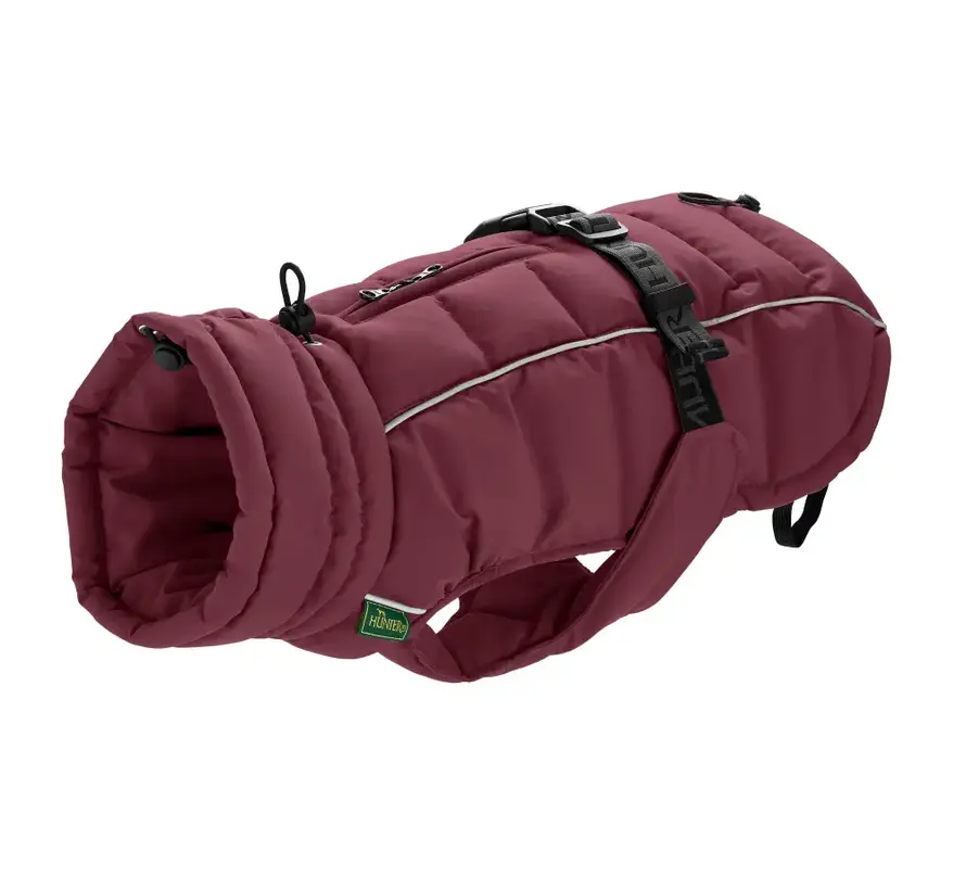 Teckel Hondenjas Paxson Berry