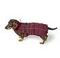Teckel Hondenjas Paxson Berry
