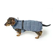Hunter Teckel Hondenjas Paxson Blauw