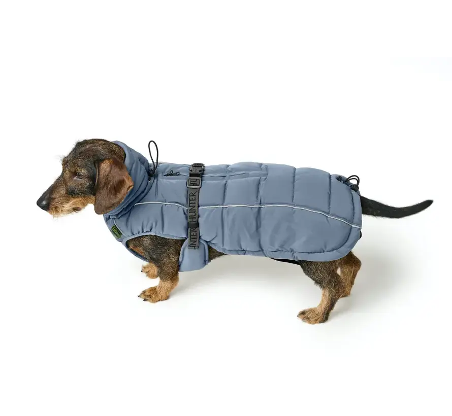 Teckel Hondenjas Paxson Blauw