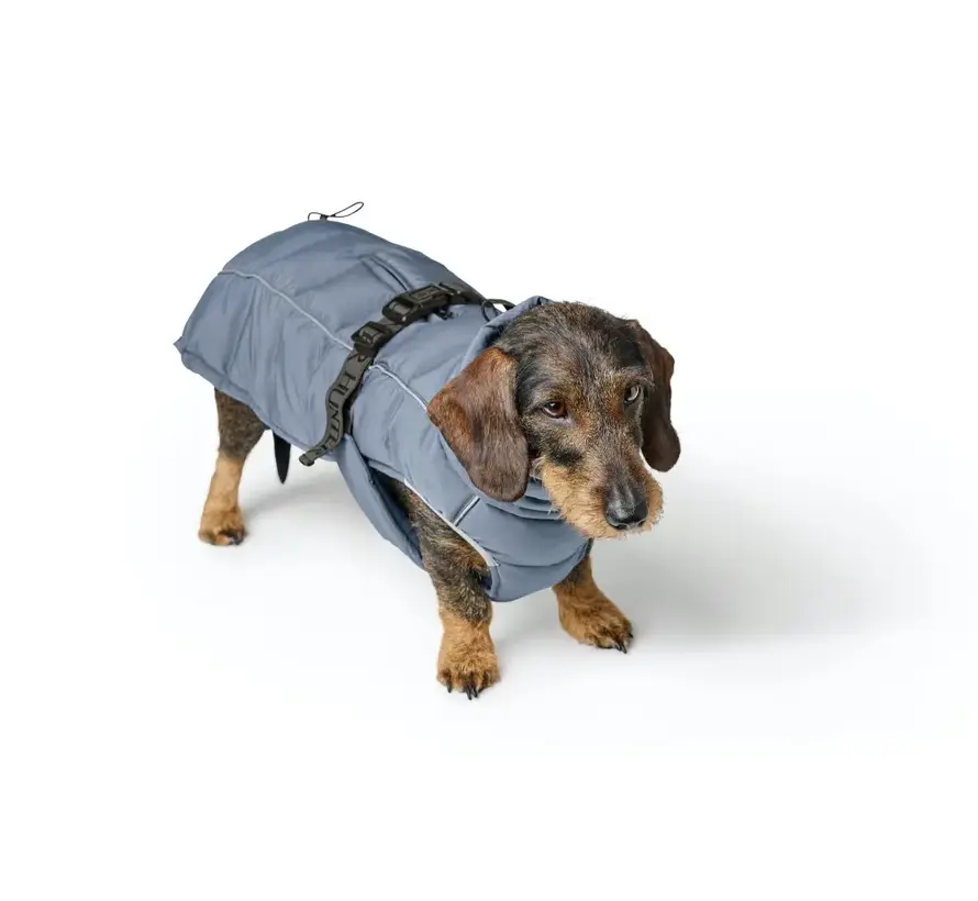 Teckel Hondenjas Paxson Blauw