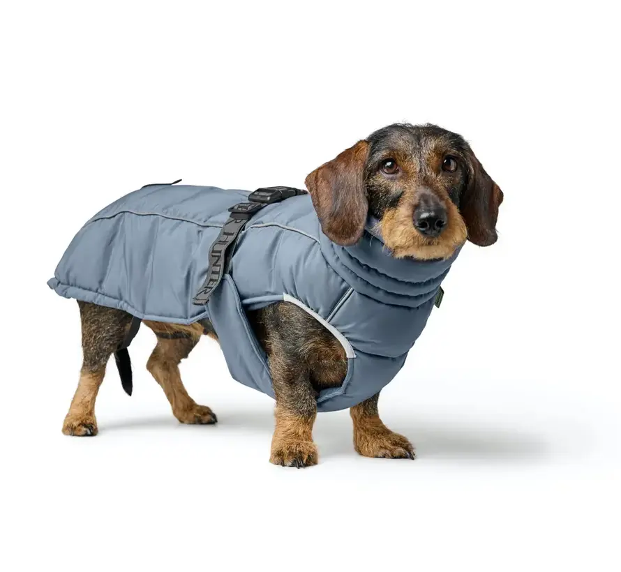 Dachshund Dog Coat Paxson Blue