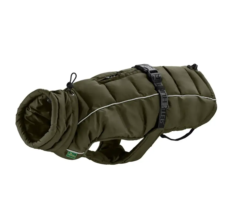 Dachshund Dog Coat Paxson Olive
