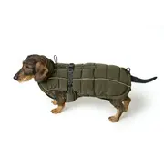 Hunter Dachshund Dog Coat Paxson Olive