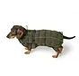 Dachshund Dog Coat Paxson Olive