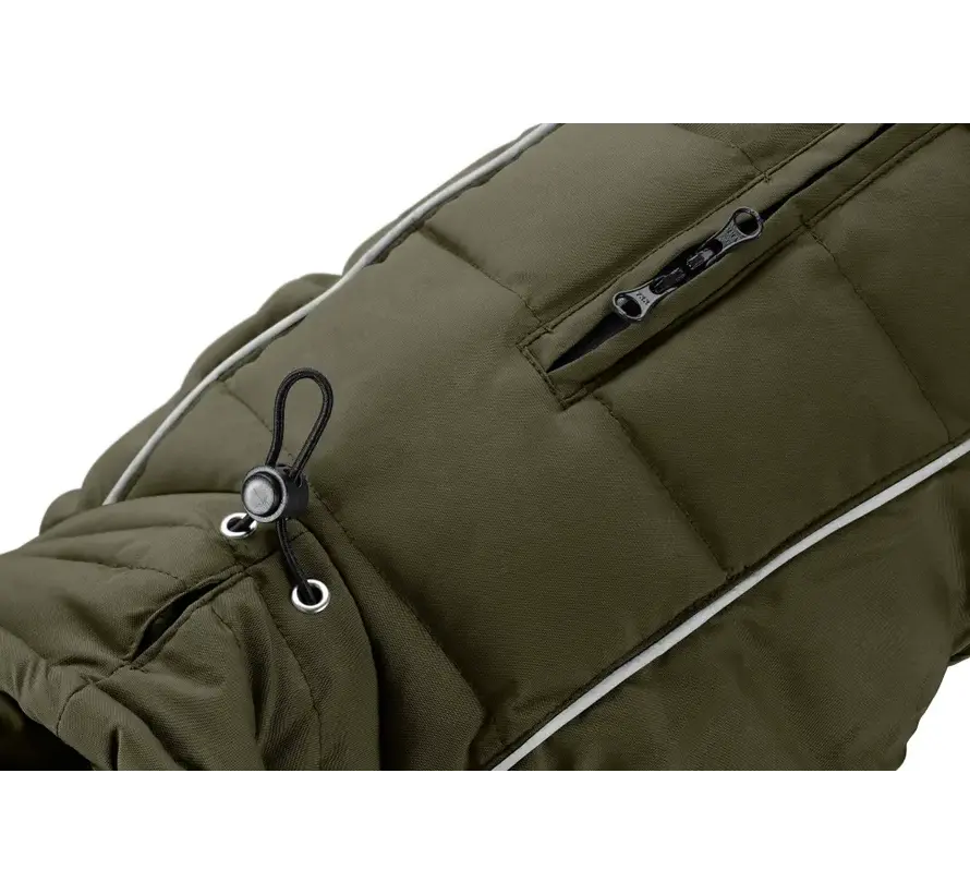 Dachshund Dog Coat Paxson Olive