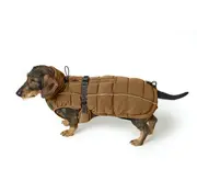 Hunter Dachshund Dog Coat Paxson Caramel