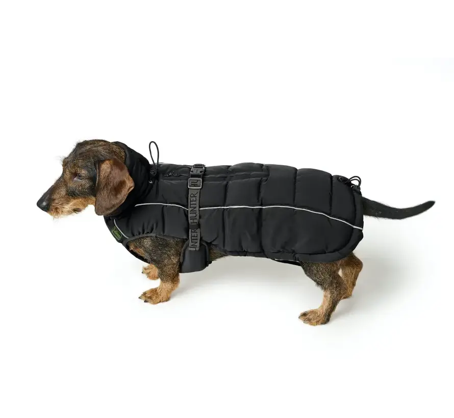 Dachshund Dog Coat Paxson Black