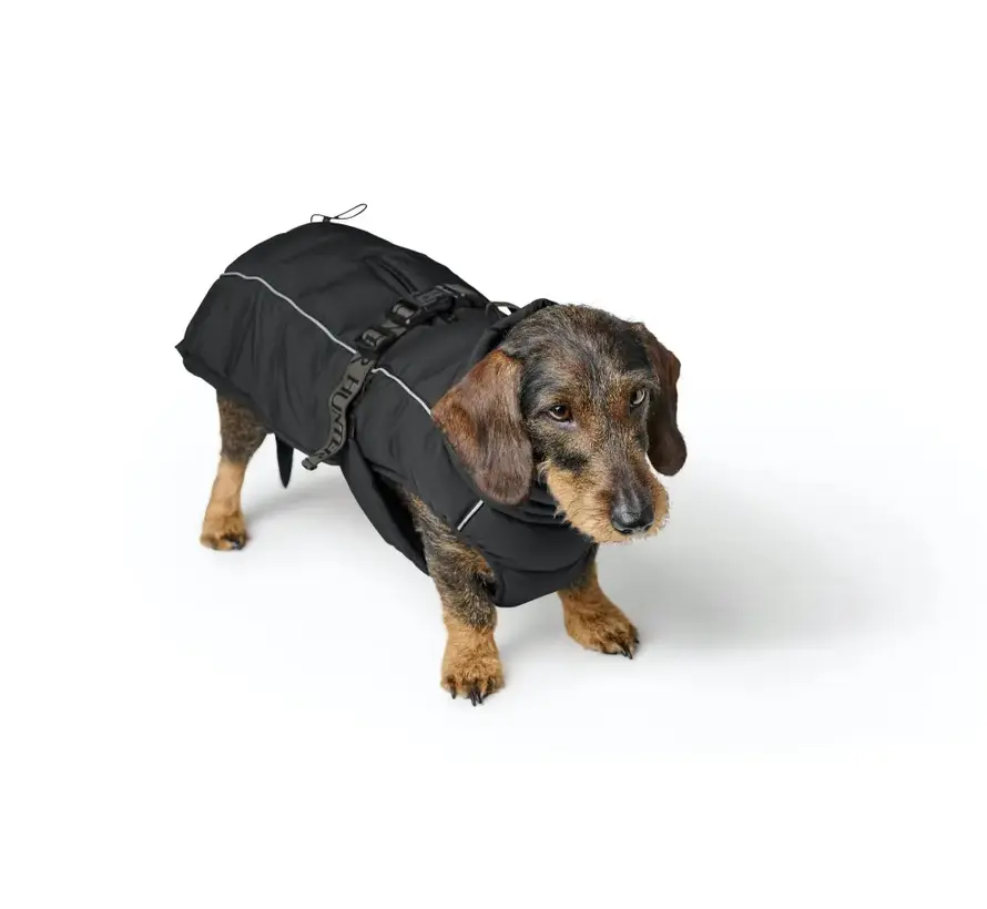 Dachshund Dog Coat Paxson Black