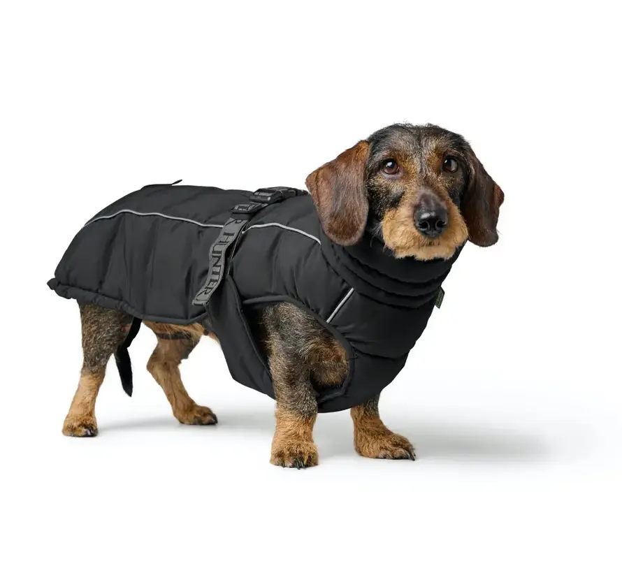 Dachshund Dog Coat Paxson Black