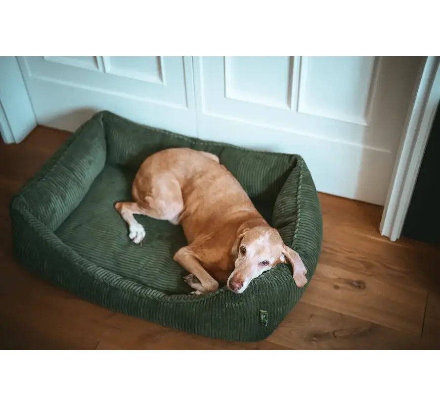 Orthopedic Dog Bed Corbie Green