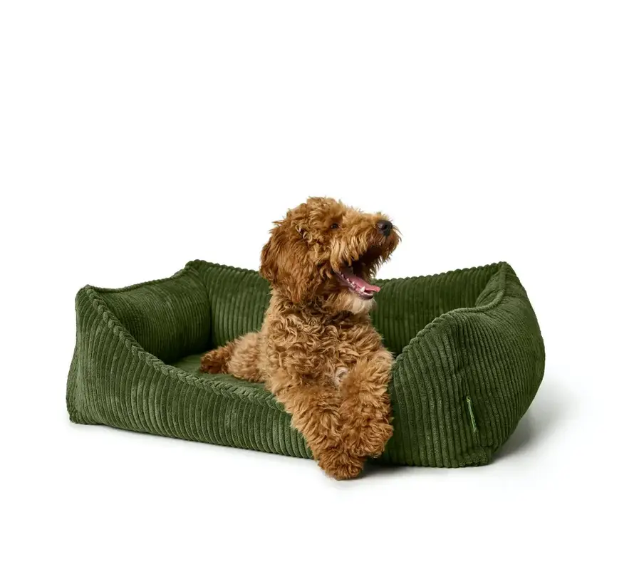 Orthopedic Dog Bed Corbie Green