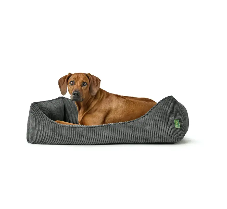 Orthopedic Dog Bed Corbie Anthracite