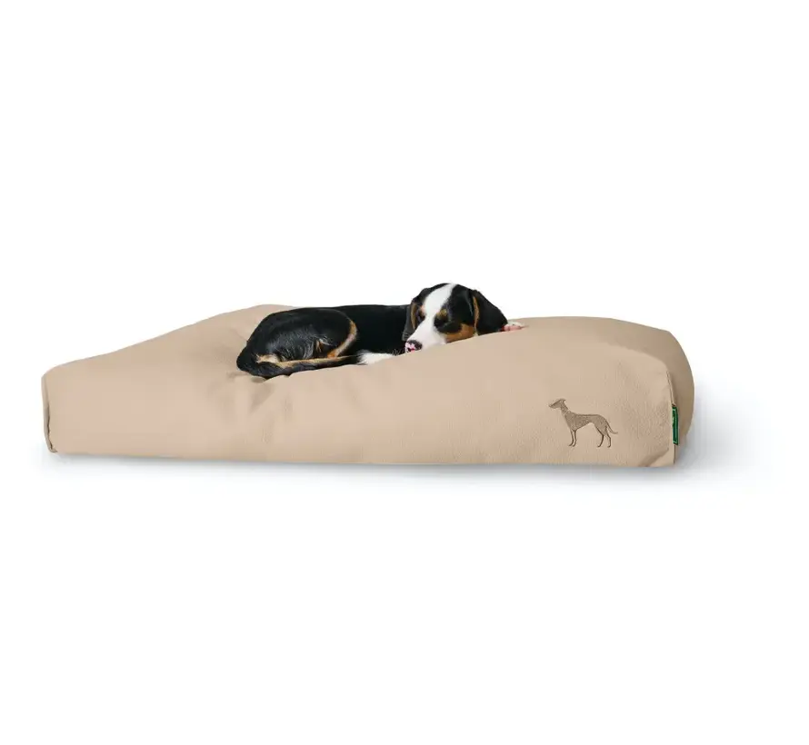Orthopedic Dog Cushion Livo Beige