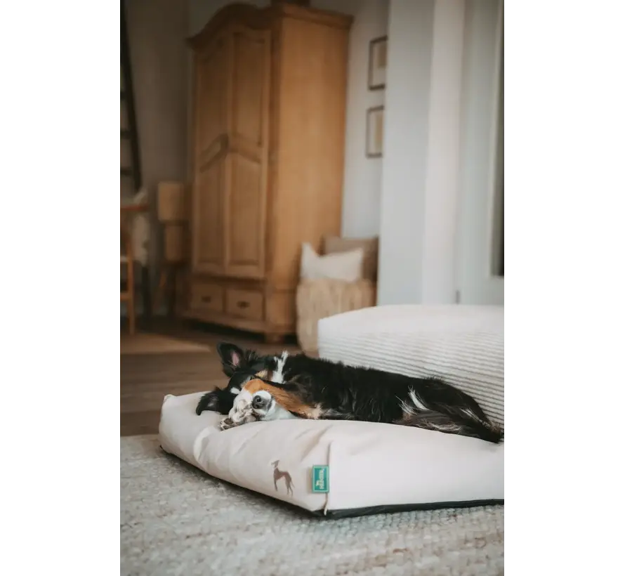 Orthopedic Dog Cushion Livo Beige