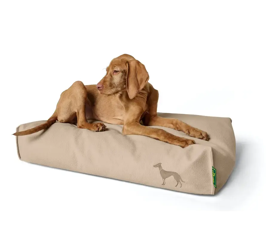 Orthopedic Dog Cushion Livo Beige