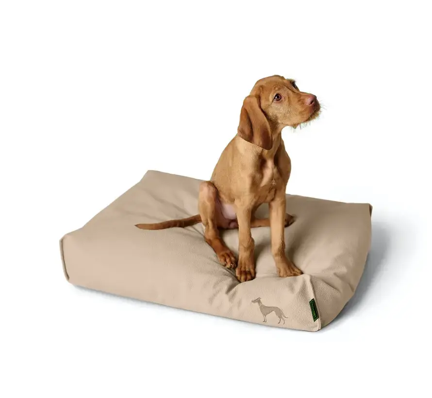 Orthopedic Dog Cushion Livo Beige