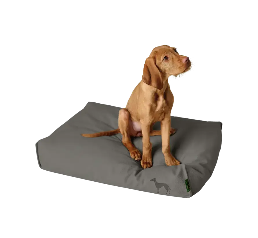 Orthopedisch Hondenkussen Livo Grijs