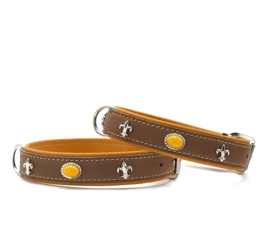 Dog Collar Ibiza Mocha - Yellow