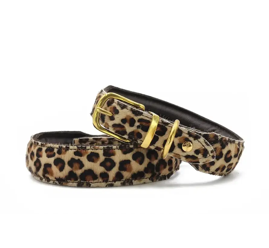 Dog Collar Leopard