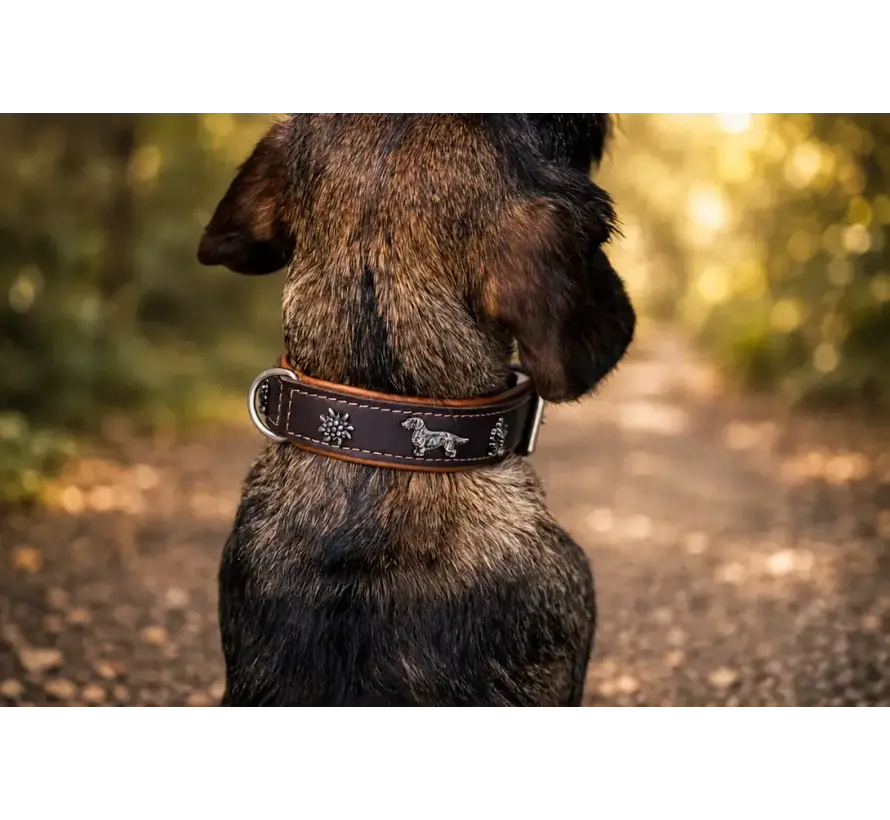 Teckel Hondenhalsband Premium Cognac