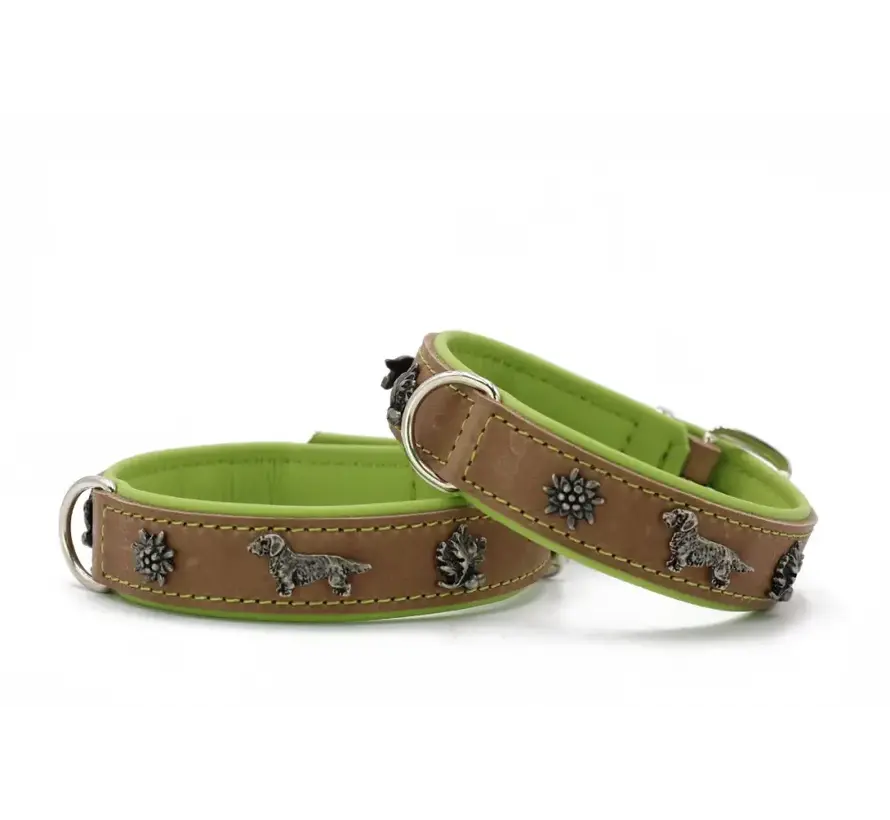 Teckel Hondenhalsband Premium Pistache