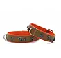 Dachshund Dog Collar Premium Orange
