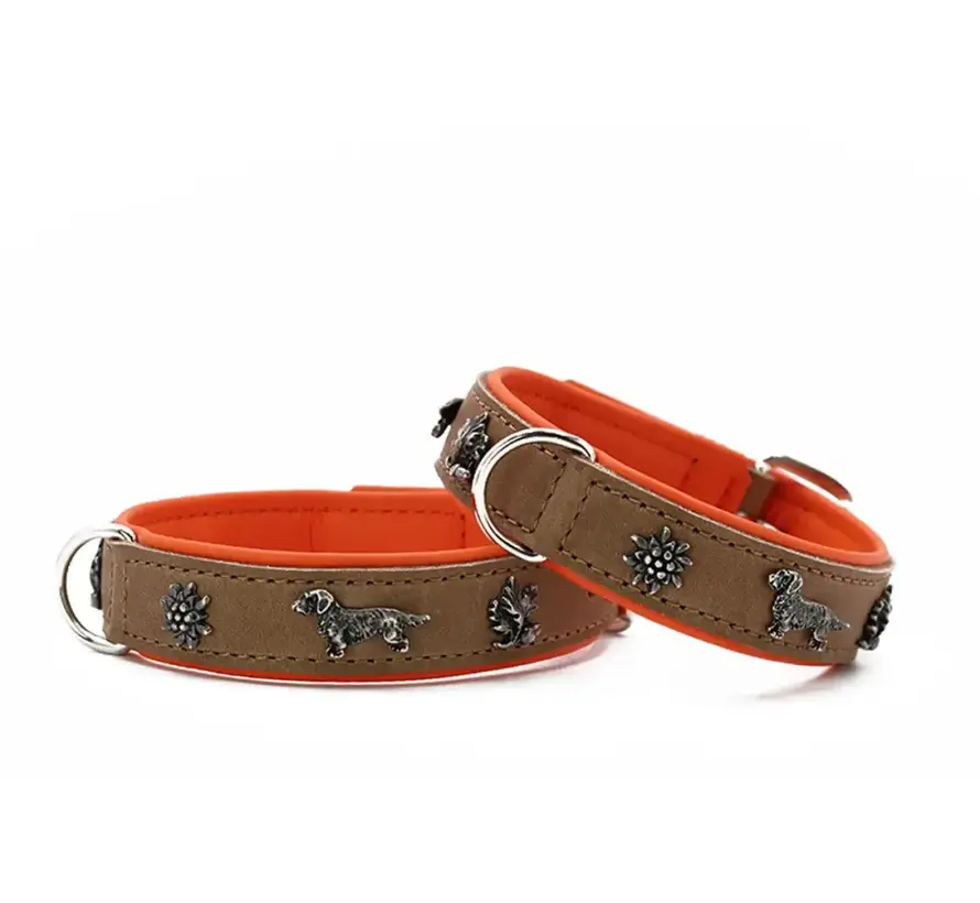 Teckel Hondenhalsband Premium Oranje