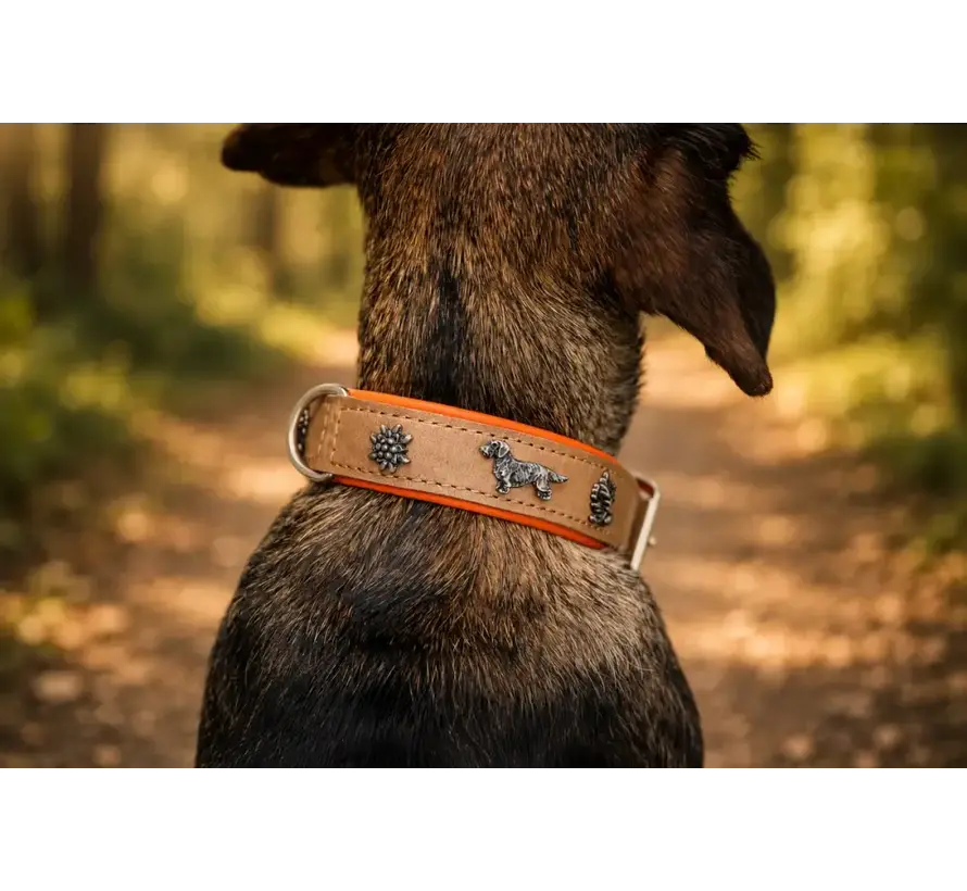Teckel Hondenhalsband Premium Oranje
