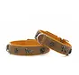 Teckel Hondenhalsband Premium Geel