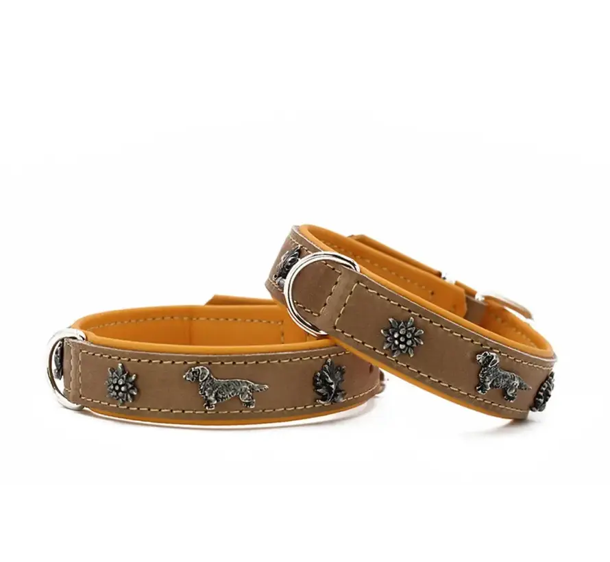 Teckel Hondenhalsband Premium Geel