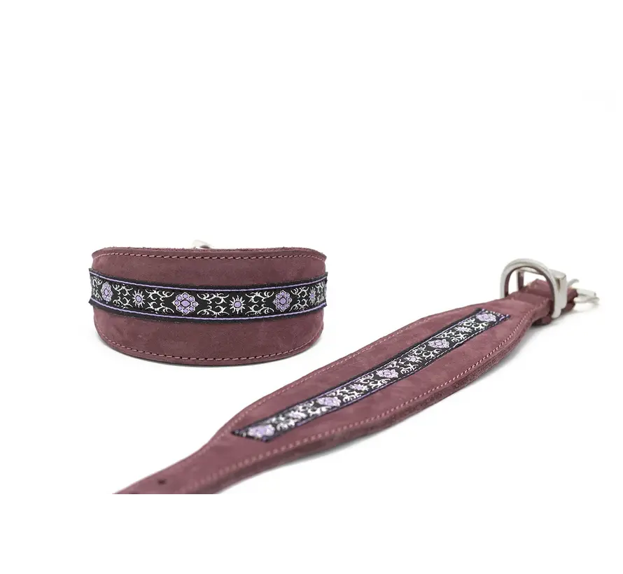 Greyhound Collar Borte Lila