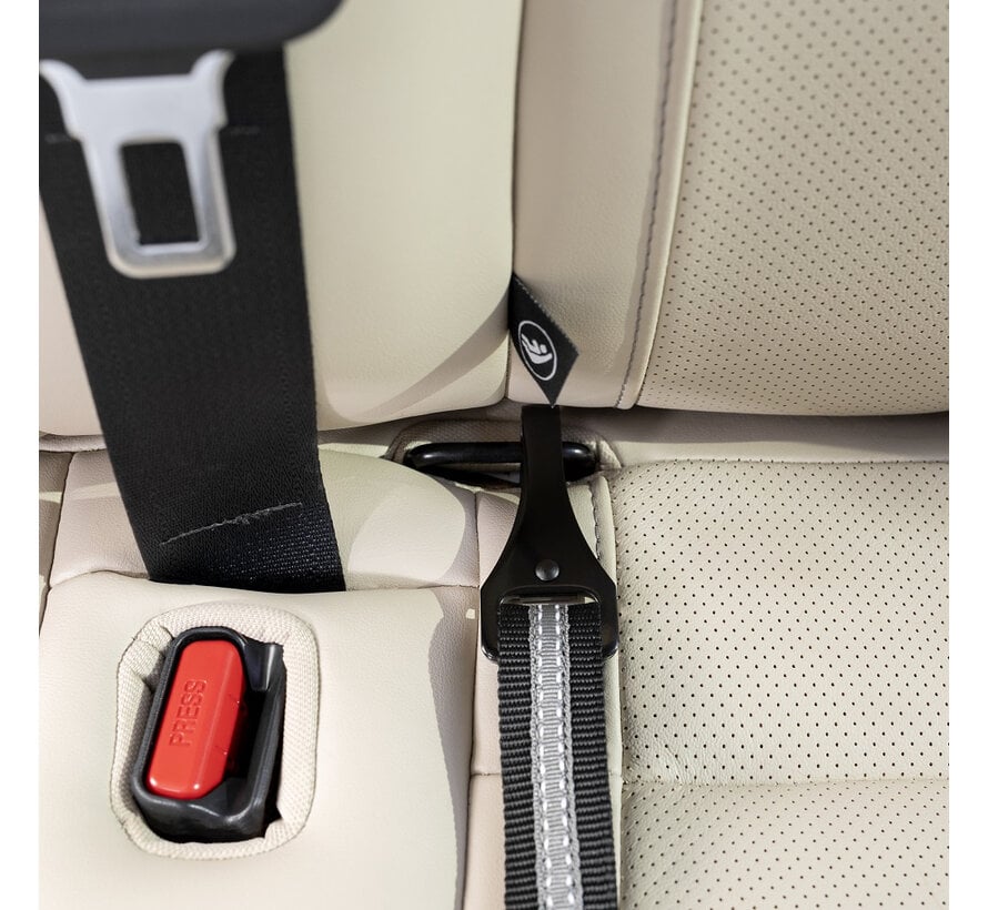 ISOFIX Car Seat Belt for Dogs