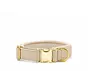 Hondenhalsband Active Ivoor