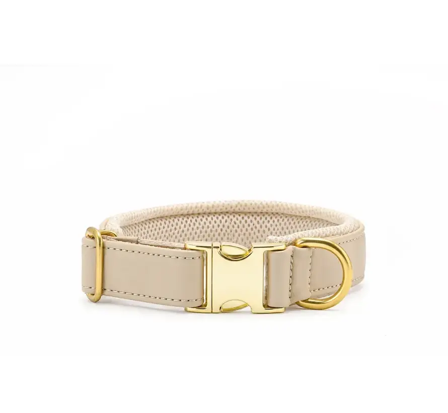 Dog Collar Active Ivory