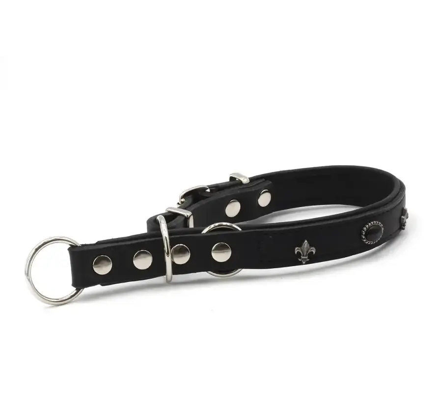 Retrieverhalsband San Francisco Zwart