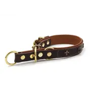 Maul Retriever Collar San Francisco Gold