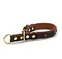 Retriever Collar San Francisco Gold