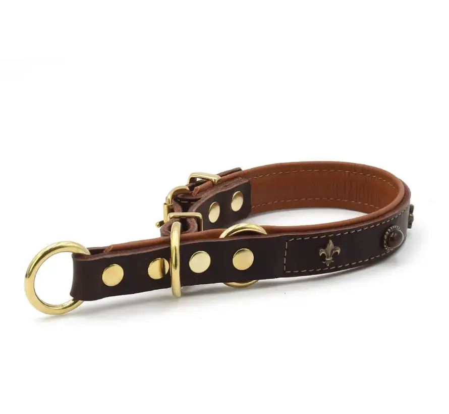 Retrieverhalsband San Francisco Goud