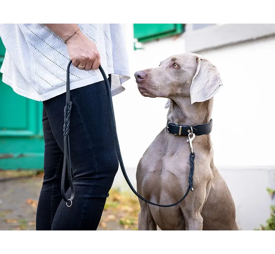 Dog Leash Greased Leather Black
