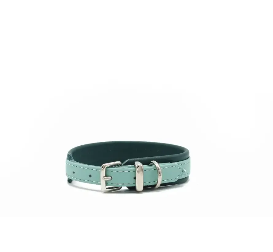 Hondenhalsband Spring Break Mint Mini