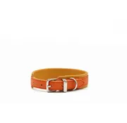 Maul Dog Collar Spring Break Mini Orange