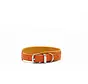 Dog Collar Spring Break Mini Orange