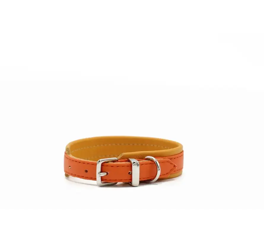Hondenhalsband Spring Break Mini Oranje