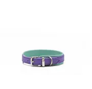 Maul Dog Collar Spring Break Mini Lilac