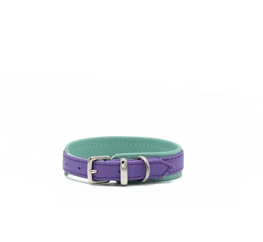 Hondenhalsband Spring Break Mini Lila