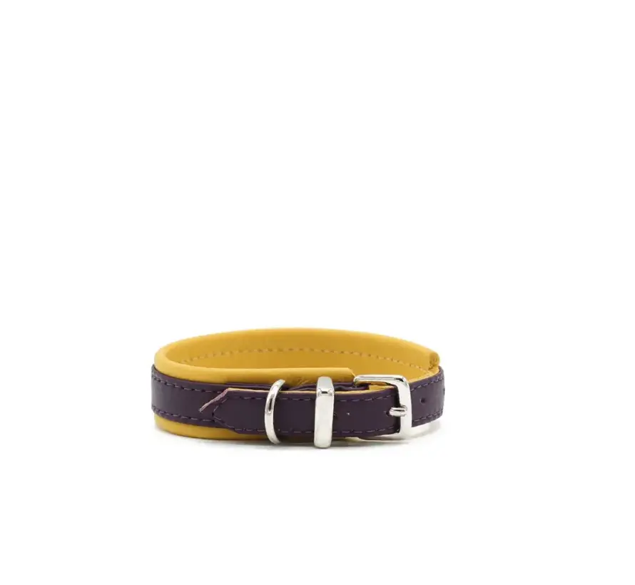 Hondenhalsband Spring Break Mini Aubergine